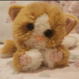 Dsi Kitty Kitty Kittens Punkin